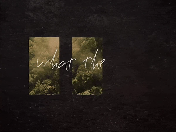 JXDN 'What the hell' Lyric Video Feature Image